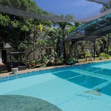 White Chocolate Hills Resort Zamboanguita  Dış mekan fotoğraf